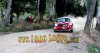 Sordo-&-Del-Barrio-(Test-Málaga-SPAIN-2011--MINI-WRC-EVOII-)-2-1.jpg