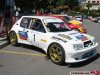 fibras_peugeot_205_f2000.jpg