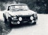 1973 - Verini-Torriani (Fiat 124 Spider) 1.jpg