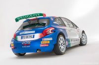 Z - Peugeot R5 Andreucci 2017 2.jpeg