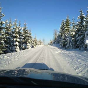 Rally Svezia 2010