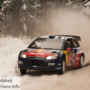 Rally Svezia 2010