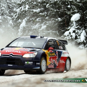 Rally Svezia 2010