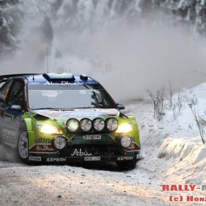 Rally Svezia 2010