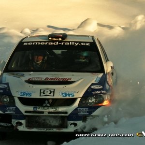 Rally Svezia 2010