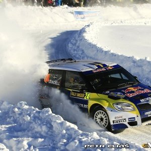 Rally Svezia 2010