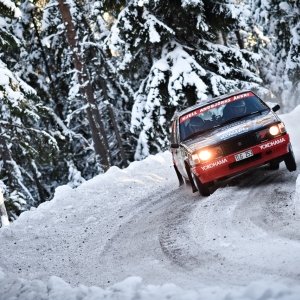 Rally Svezia 2010