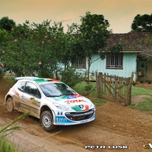 Rally di Curitiba 2010, Brasile