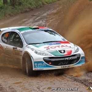 Rally di Curitiba 2010, Brasile