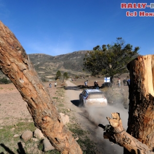 Rally Messico 2010