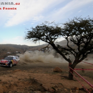 Rally Messico 2010