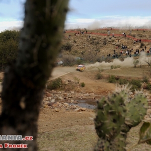 Rally Messico 2010