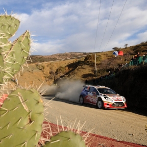 Rally Messico 2010