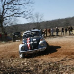 100 Acre Wood Rally