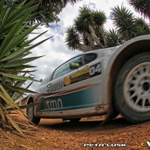 Rally di Curitiba 2010, Brasile