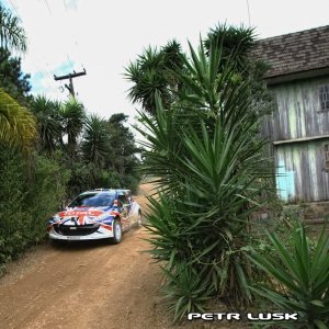 Rally di Curitiba 2010, Brasile