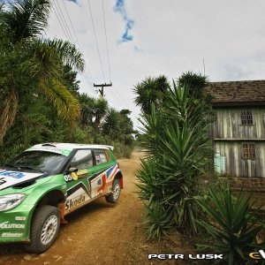 Rally di Curitiba 2010, Brasile