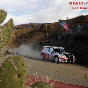 Rally Messico 2010