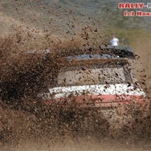 Rally Messico 2010