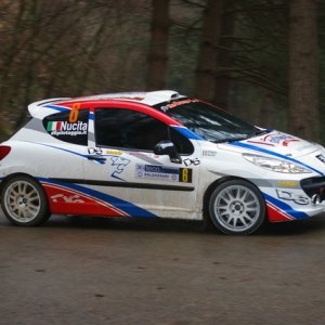 Rally del Ciocco e Valle del Serchio 2010