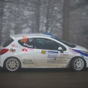 Rally del Ciocco e Valle del Serchio 2010