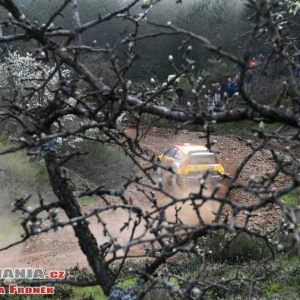 Rally di Turchia 2010