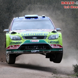 Rally di Turchia 2010