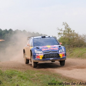 Rally di Turchia 2010