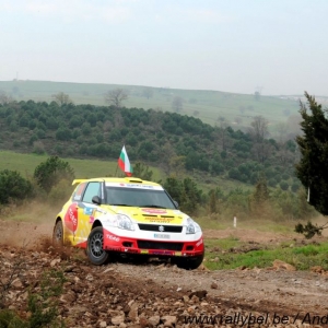 Rally di Turchia 2010