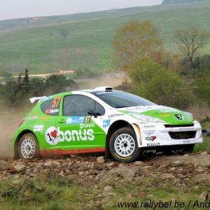 Rally di Turchia 2010