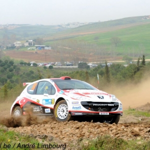 Rally di Turchia 2010