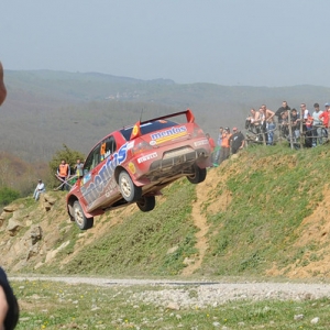 Rally di Turchia 2010