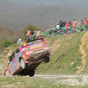 Rally di Turchia 2010