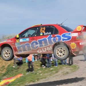 Rally di Turchia 2010