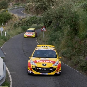 Rally delle isole Canarie 2010