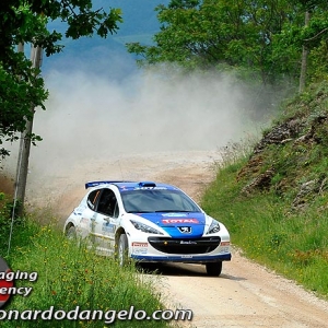 Rally Adriatico 2010