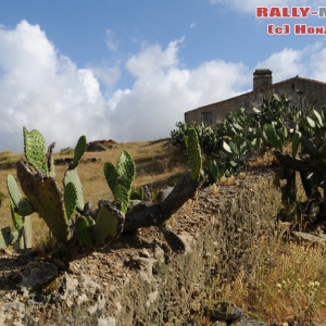 Rally del Portogallo