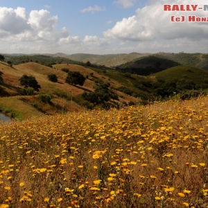 Rally del Portogallo