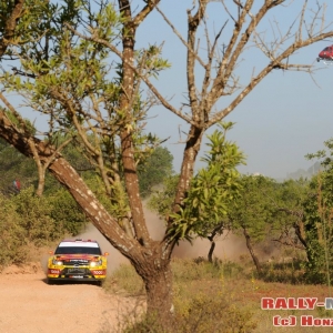 Rally del Portogallo