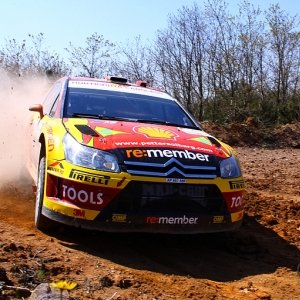 Rally di Turchia 2010