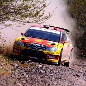 Rally di Turchia 2010