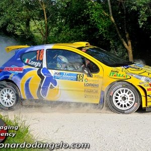 Rally Adriatico 2010