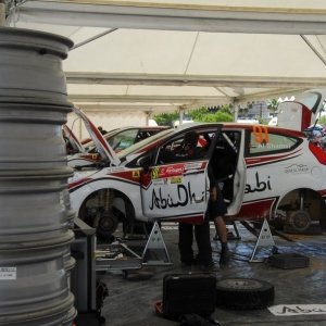 Rally del Portogallo