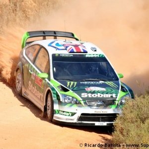 Rally del Portogallo 2010