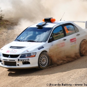 Rally del Portogallo 2010