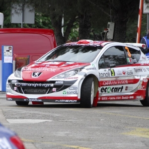 Rally di Croazia 2010