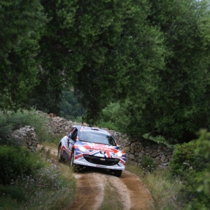 Rally d'Italia Sardegna 2010