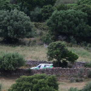 Rally d'Italia Sardegna 2010