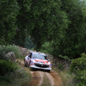 Rally d'Italia Sardegna 2010