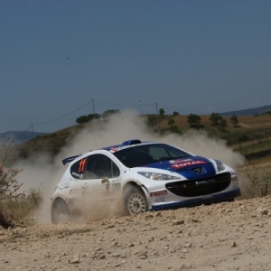 Rally d'Italia Sardegna 2010